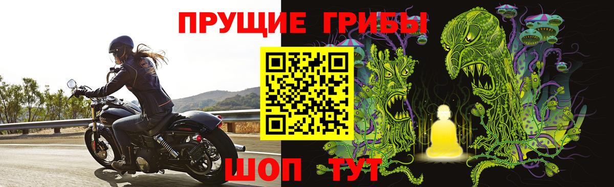 Псилоцибиновые грибы Cubensis Сызрань