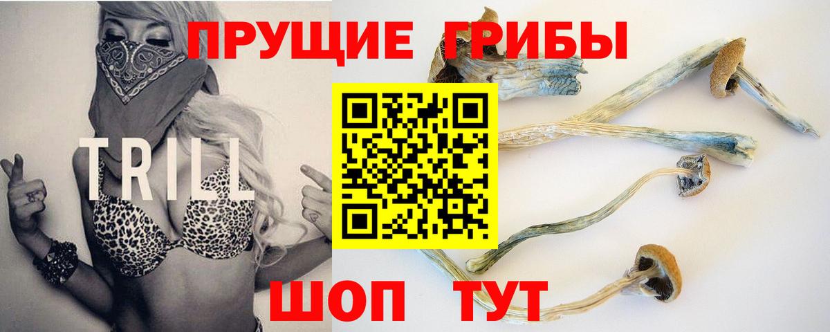 Псилоцибиновые грибы Psilocybe  даркнет сайт  Сызрань  Вход с VPN 